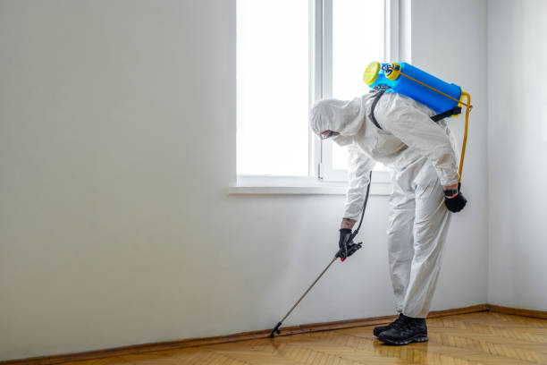 Professional Pest Control in Worthington, MN
