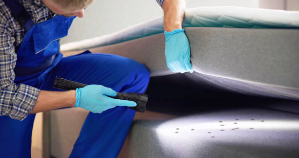 Best Pest Removal Services  in Worthington, MN