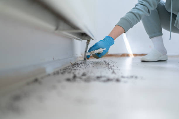 Best Pest Control Treatment  in Worthington, MN